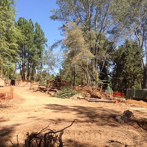 Walkabout Austarlia Near Artificial Tree Exhibit Angle 4