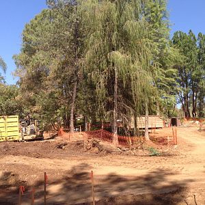 Walkabout Austarlia Near Artificial Tree Exhibit Angle 5