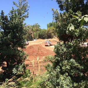 Walkabout Austarlia Tiger Trail Access Path Angle 2