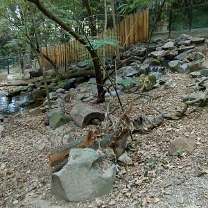 Bush Dog Enclosure