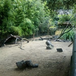 Wallaby/Turtle Exhibit