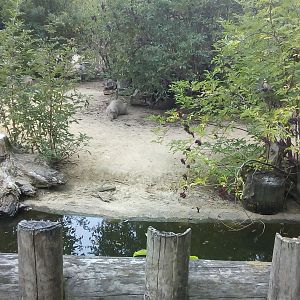 South American Exhibit