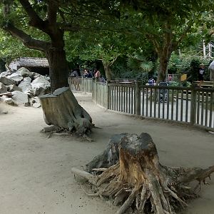 African Farm Walkthrough