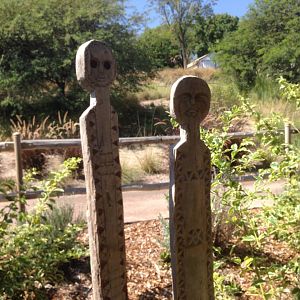 Watering Hole Decor 1