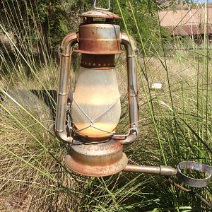 Watering Hole Path Lighting