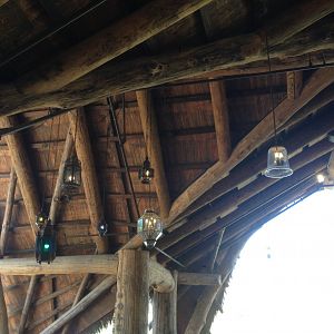 Watering Hole Entrance Light Fixtures