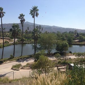 Resevoir - View From Watering Hole