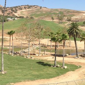 East African Watering Hole - View From Watering Hole