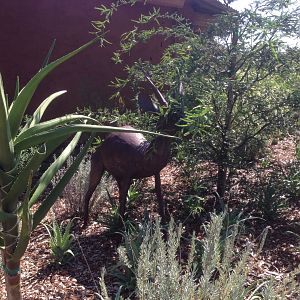 Watering Hole Entrance Sculpture