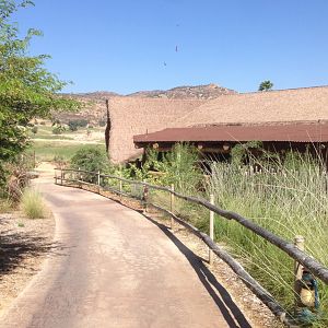 Watering Hole Entrance Path