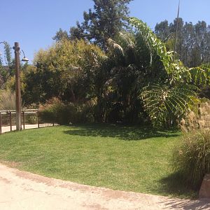 Potential Animal Ambassador Area End Of Tiger Trail