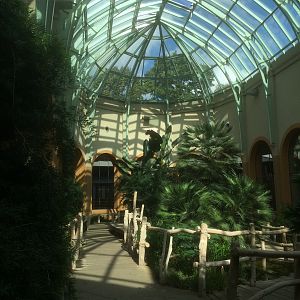 Inside the giraffe/antelope house