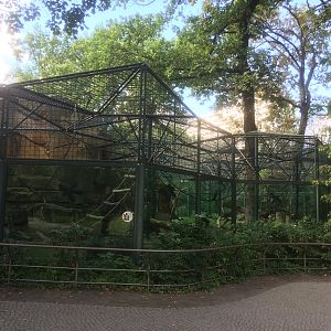 Bonobo enclosure