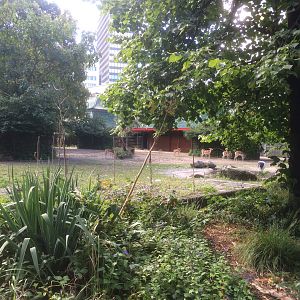 Blackbuck/nilgai enclosure