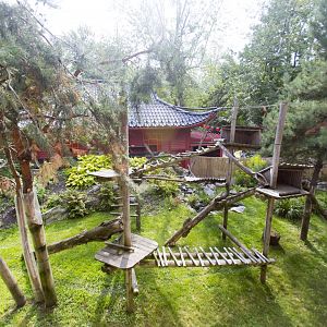 Red Panda Exhibit - View from elevated walkway