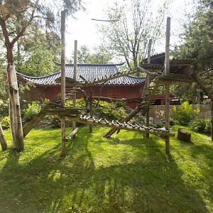 Red Panda Exhibit - View from ground level