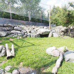 Snow Leopard Exhibit - View from inside visitor hut