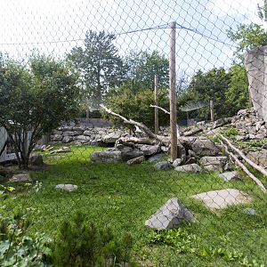 Snow Leopard Exhibit - Outside view