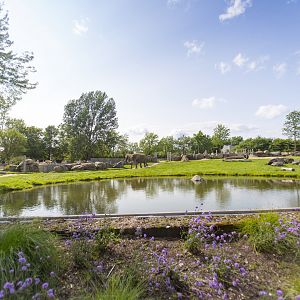 Elephant Second Yard - Third vantage point