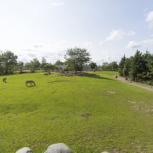 Mixed Species Habitat