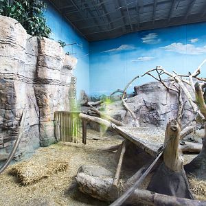 Indoor Gorilla Habitat