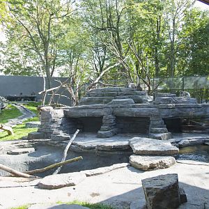 Japanese Macaque Exhibit