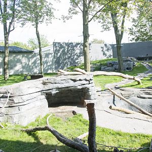 Japanese Macaque Exhibit