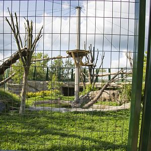 Jaguar - Second Outdoor Yard