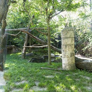 Jaguar - First Exhibit