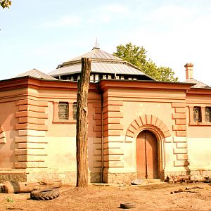 View of Pachyderm House; Wroclaw; 9th September 2017