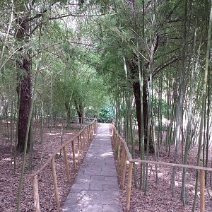 Diomedes's Botanical Garden