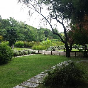 Diomedes's Botanical Garden