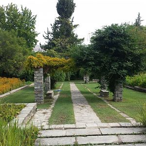 Diomedes's Botanical Garden