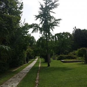 Diomedes's Botanical Garden