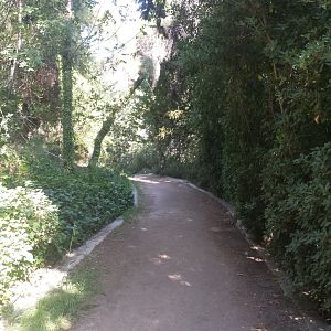 Diomedes's Botanical Garden