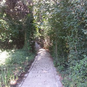 Diomedes's Botanical Garden
