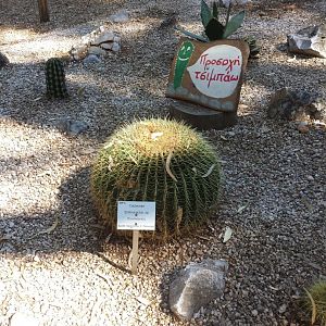 Diomedes's Botanical Garden