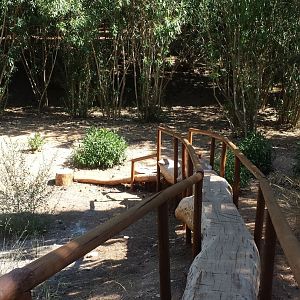 Diomedes's Botanical Garden