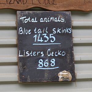 Captive Population at the Pink House