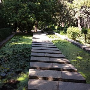 Diomedes's Botanical Garden