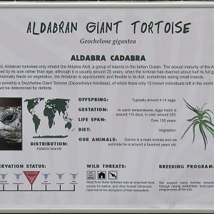 Giant tortoise label