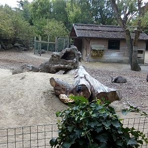 South American Exhibit