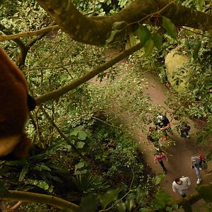 Look: ignorant visitors