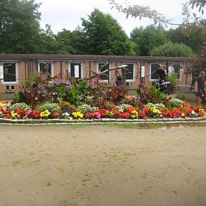 Vogelpark Niendorf - Flower display/aviaries