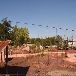 Future Australian walkthrough