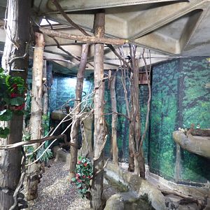 Green Wood Hoope Enclosure