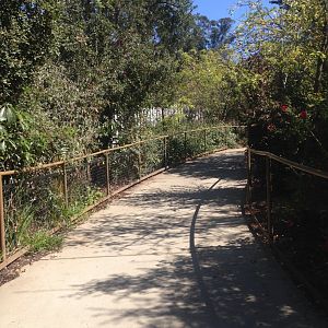 Walkway From Goat Yard