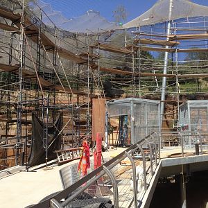 Acacia Woodlands Construction 5