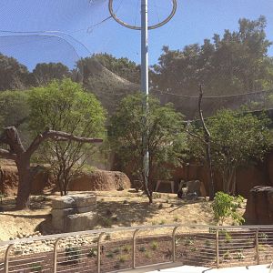 Acacia Woodlands Construction 3