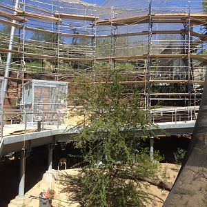 Acacia Woodlands Construction 1